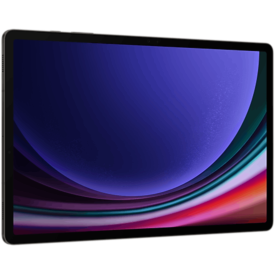 samsung galaxy tab s9+ 5g 256 gb (sm-x816) graphite_image